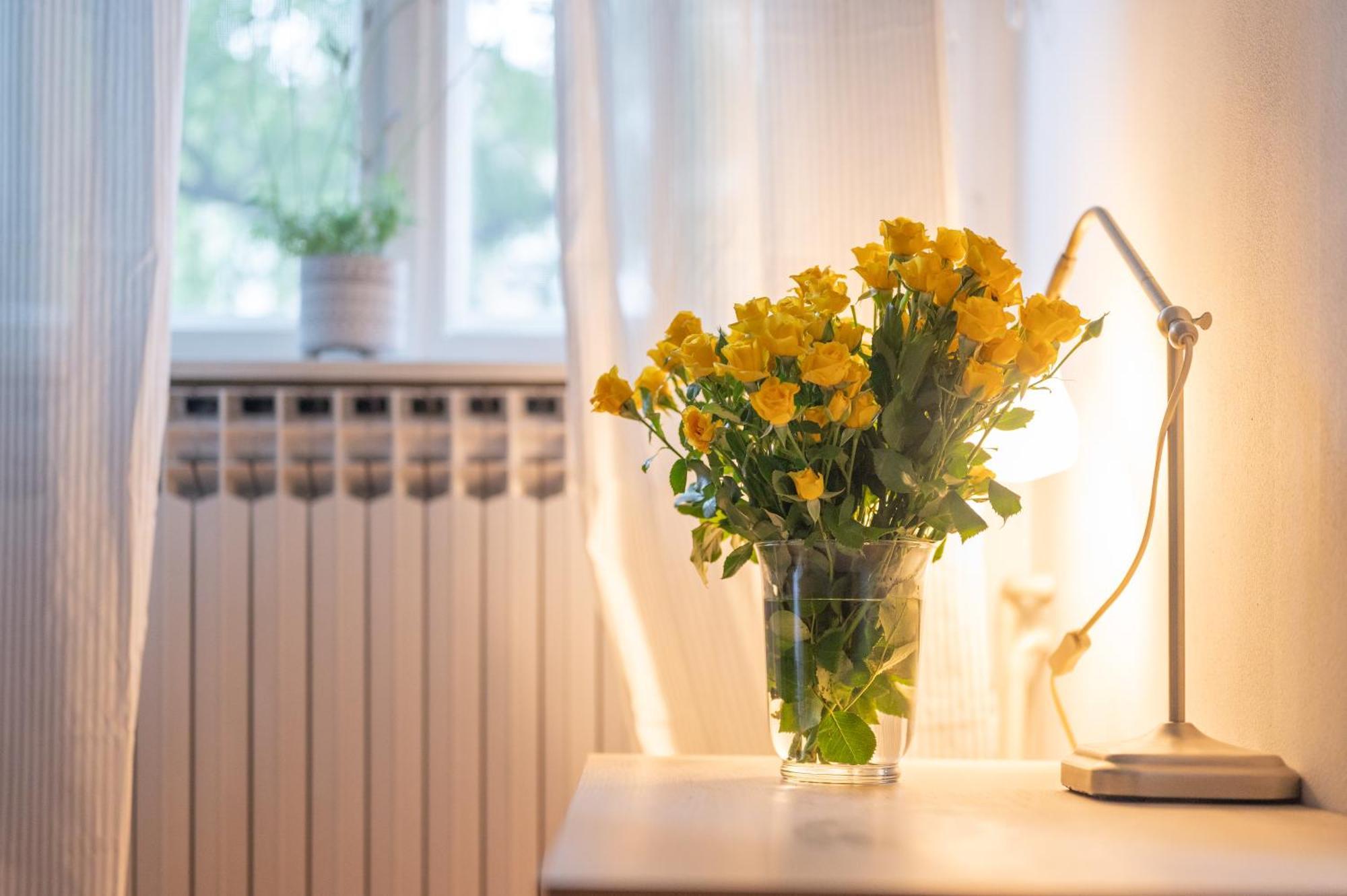 Bricks & Bikes Apartment Zagreb Bagian luar foto